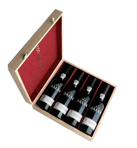 100 Years of Port van DALVA